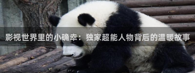 星空影城今天有什么电影